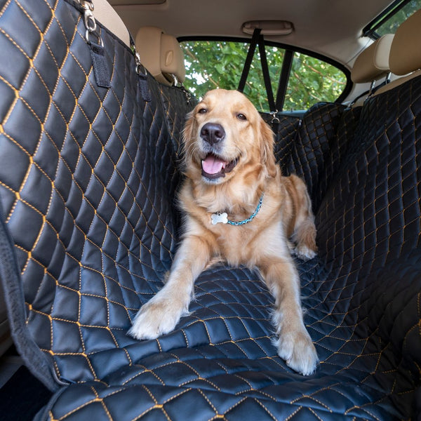 Pet Carriers and Travel Accessories