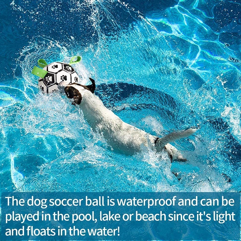 Interactive Dog Football Toy Soccer Ball for Outdoor Training