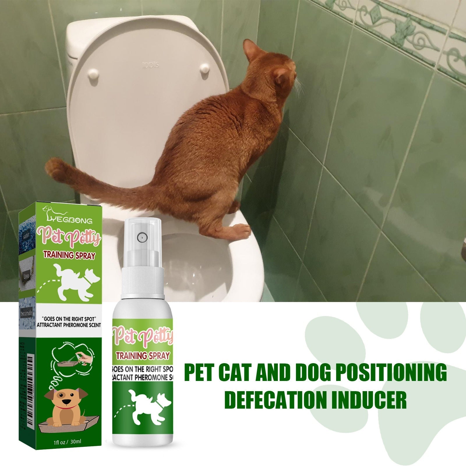 Pet Toilet Training Agent for Waste Positioning and Induction