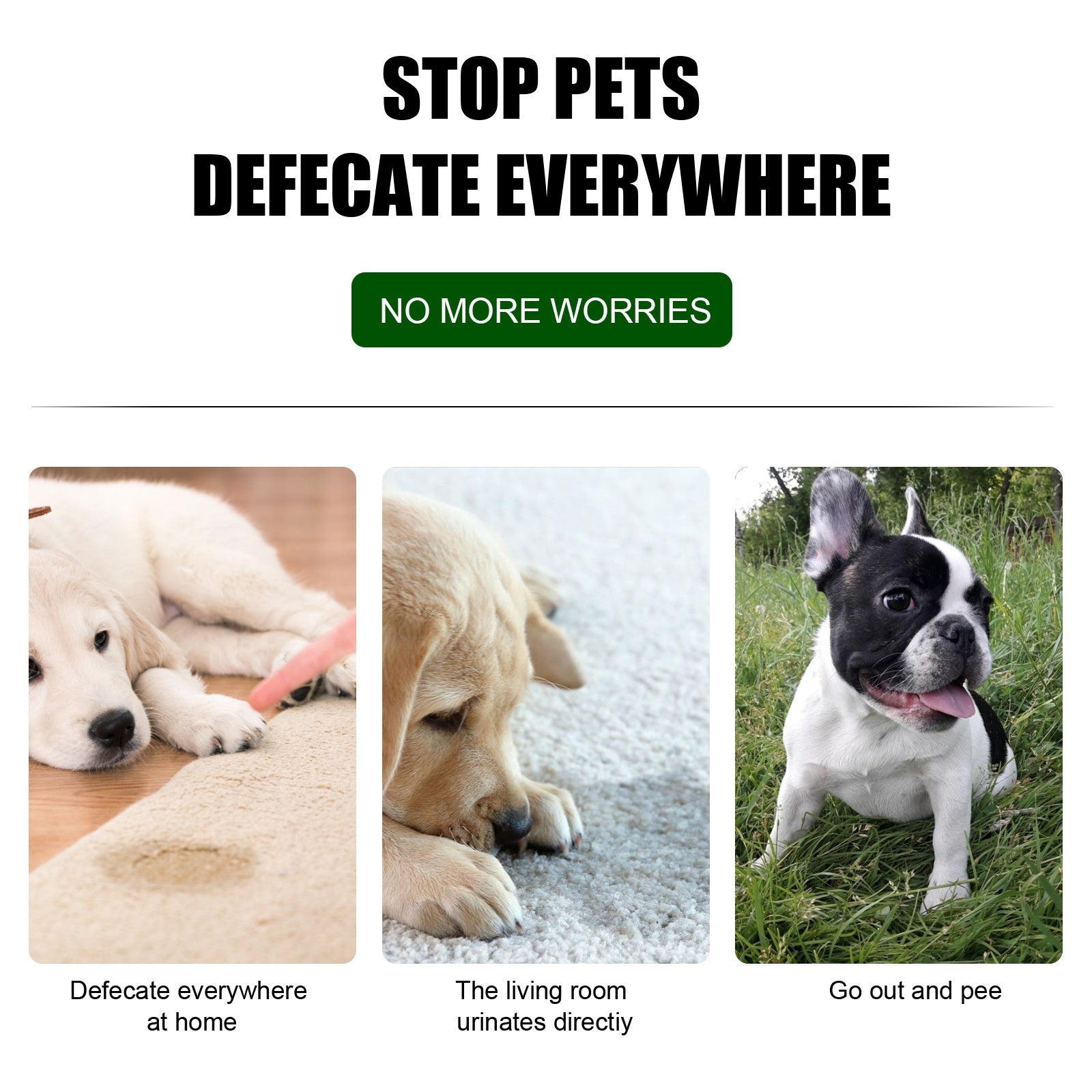 Pet Toilet Training Agent for Waste Positioning and Induction