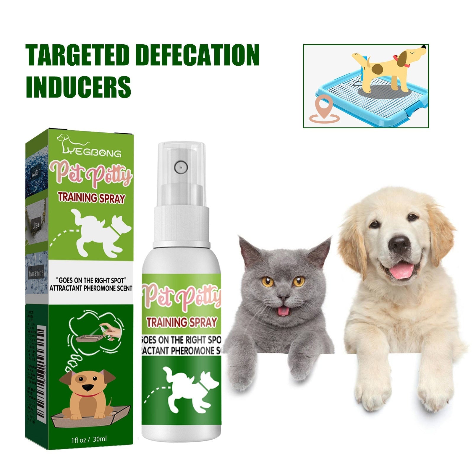 Pet Toilet Training Agent for Waste Positioning and Induction