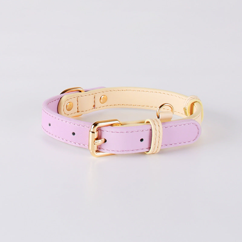 2 Tone Leather Dog Collar Adjustable Stylish Pet Walking