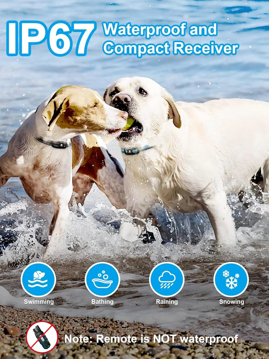 Remote Dog Training Collar for Two Dogs Waterproof Rechargeable