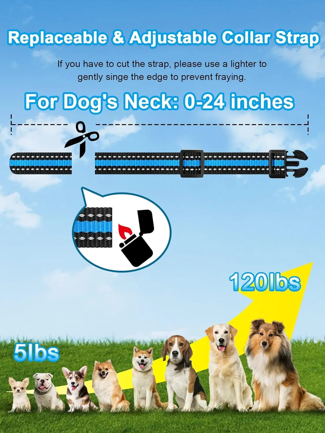 Remote Dog Training Collar for Two Dogs Waterproof Rechargeable