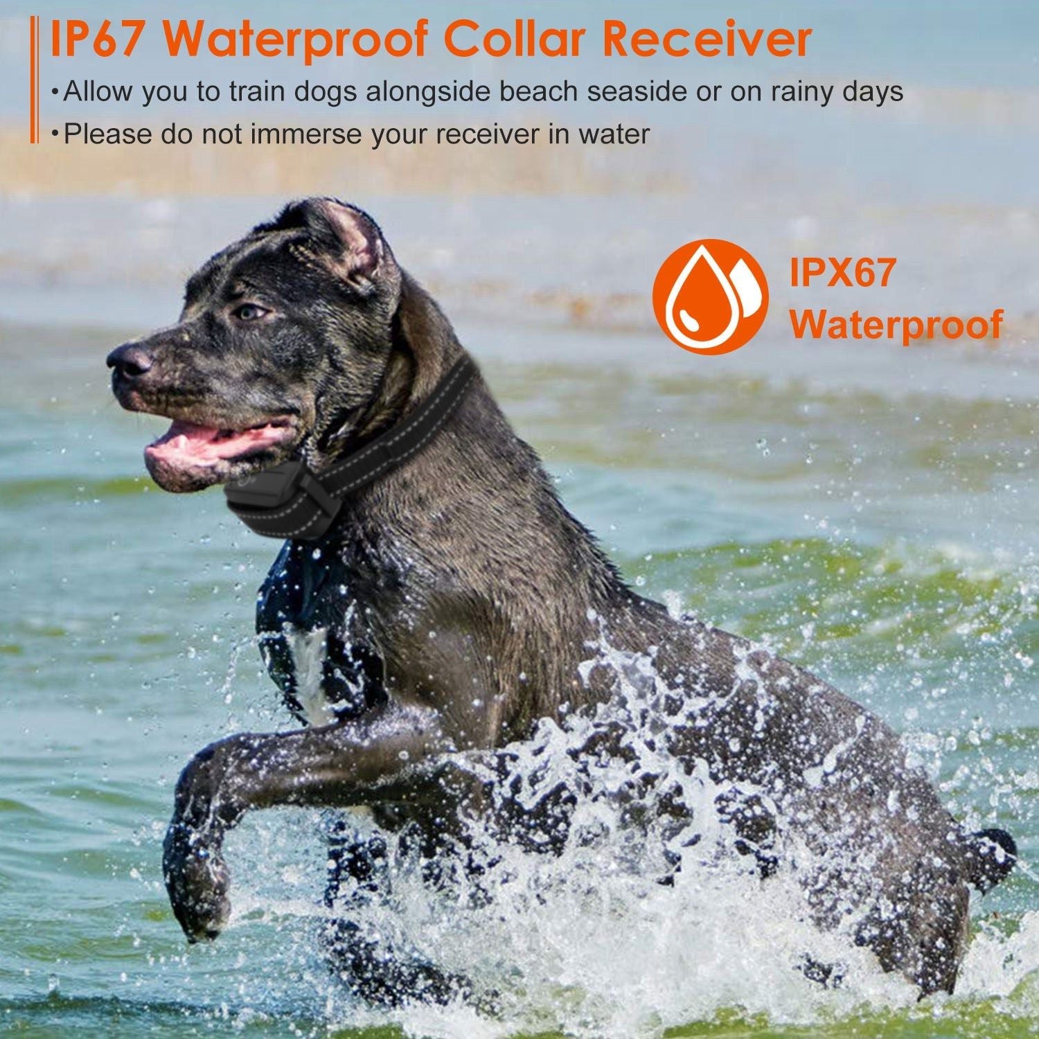 Long Range Dog Training Collar Waterproof Beep Vibration Shock