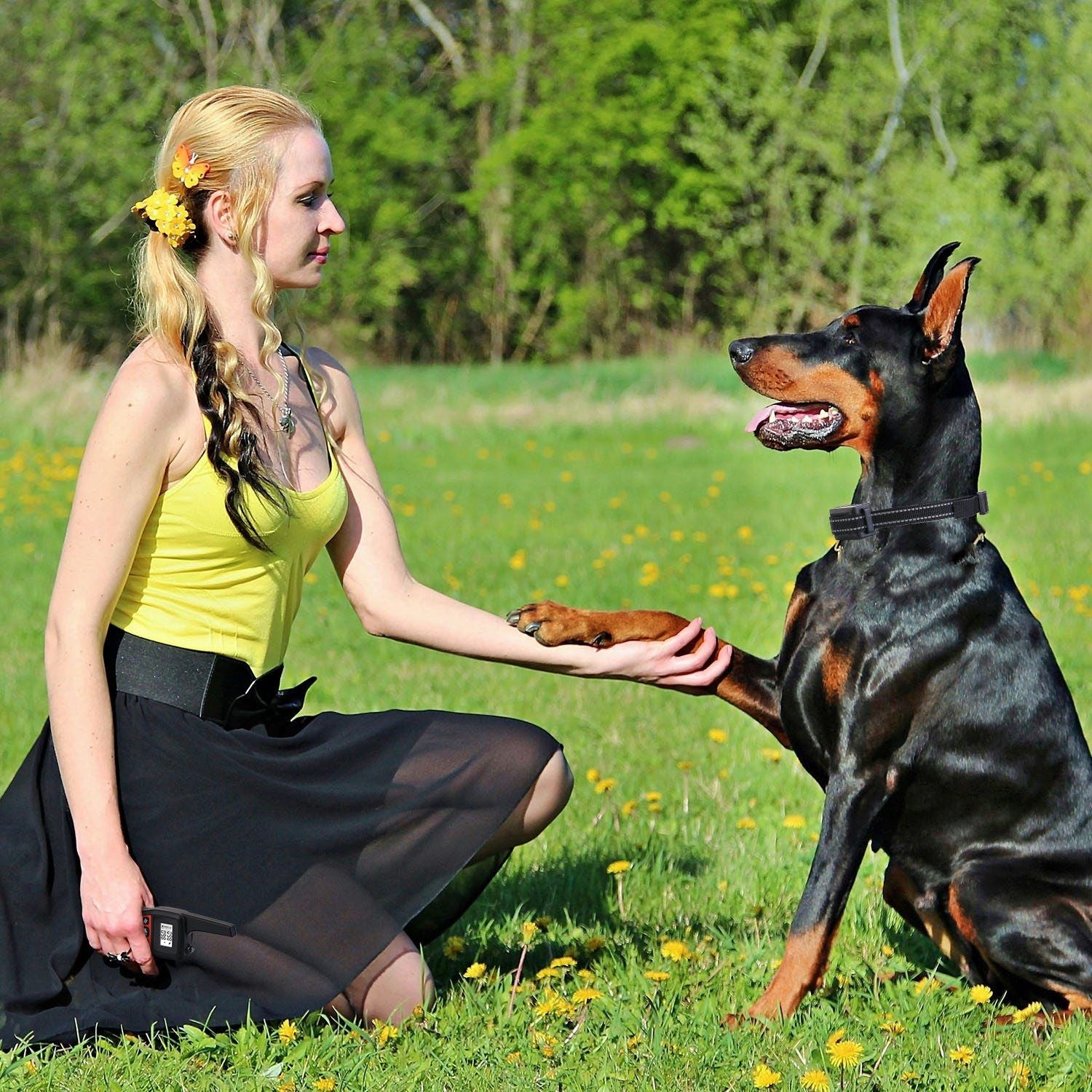 Long Range Dog Training Collar Waterproof Beep Vibration Shock