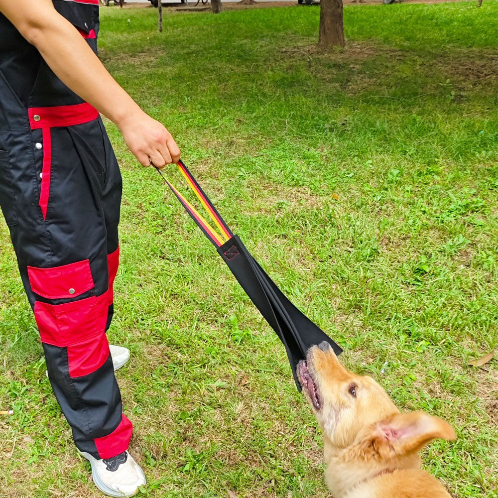 Crazy Horse Dog Bite Cloth Cowhide Training Toy Durable