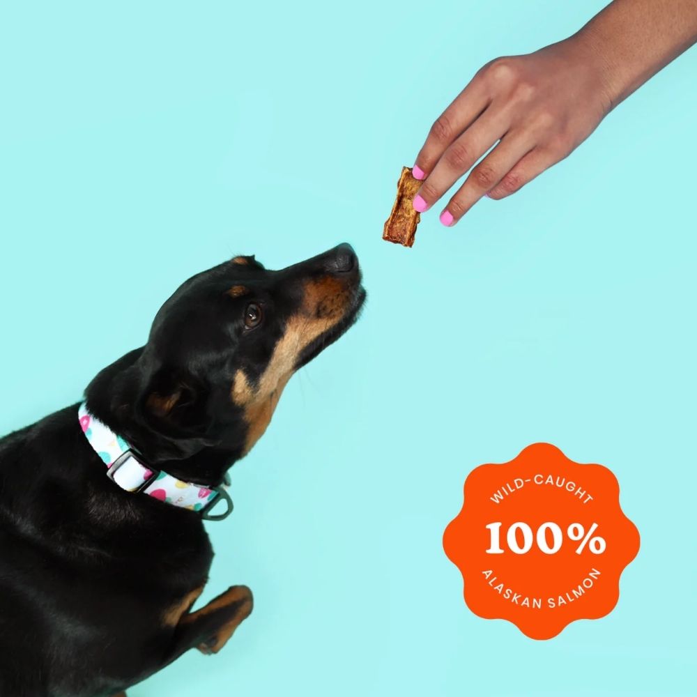 Avas Pet Palace Crunchy Jerky Dog Treats Snappin Salmon