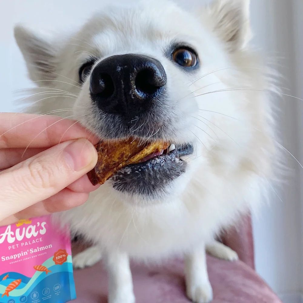 Avas Pet Palace Crunchy Jerky Dog Treats Snappin Salmon